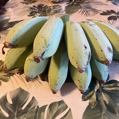 アイスクリームバナナの画像