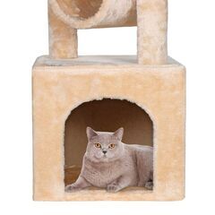 ★据置きタイプ★ キャットタワー 隠れ家 多頭飼いにも 頑丈 安定性抜群の画像
