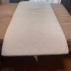 西川布団　ボナノッテ　Bouna notte
