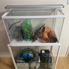 水槽セット