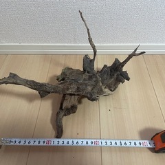 水槽セットの画像