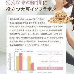 GABA＆イソフラボン ピュア　サプリメント　30日分　60粒の画像
