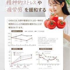 GABA＆イソフラボン ピュア　サプリメント　30日分　60粒の画像
