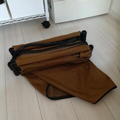 Coleman  コンパクトローコットの画像