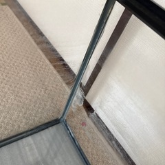 【決まりました】60センチ水槽の画像