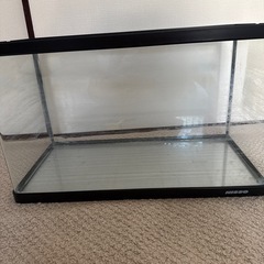 60センチ水槽