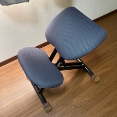 バランスチェアーの画像