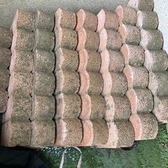 園芸用レンガ７個の画像