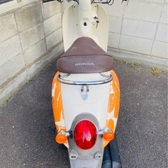 HONDA Scoopy AF55 ホンダ　23000円コミコミの画像