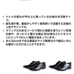 メンズビジネスシューズの画像