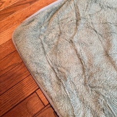グリーンのカーペットの画像