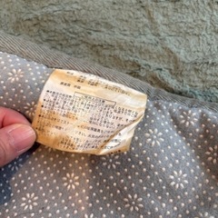 グリーンのカーペットの画像