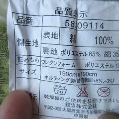 カーペット　　夏用の画像