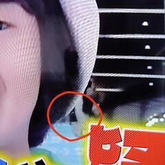 アイリスオーヤマ50型4k液晶テレビの画像