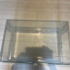 ハムスター&ハリネズミガラスケージ の画像