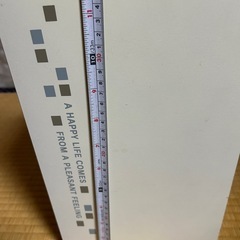 クイックルワイパー？コロコロ？収納の画像