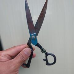 ハサミの画像