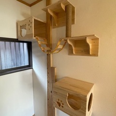 組み立て済！未使用猫キャットウォーク、キャットステップまとめての画像