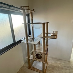 組み立て済！未使用猫キャットウォーク、キャットステップまとめての画像