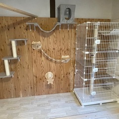 組み立て済！未使用猫キャットウォーク、キャットステップまとめての画像