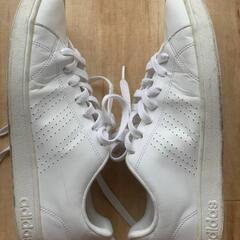 adidas ホワイト スニーカーの画像