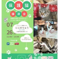保護猫mini譲渡会 7/26sat
