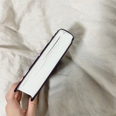 洋書 Till We Fallの画像