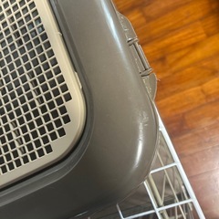 犬トイレの画像