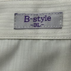 ブラウス　シャツ　3L　上着　リクルート　フォーマル　レディース　入学式　
の画像