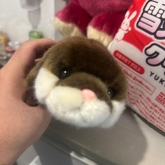 ぬいぐるみの画像