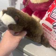 ぬいぐるみの画像