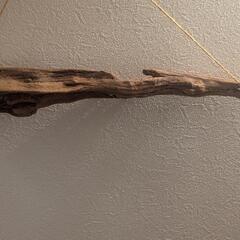 流木 55cmの画像