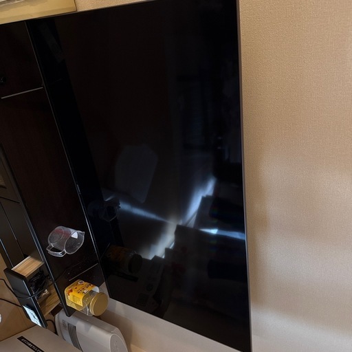 ソニー　55V X 95H