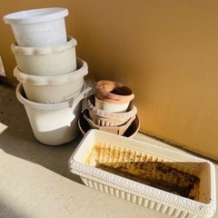🌿植木鉢まとめ売り🌿の画像