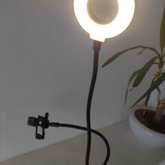 スマホ自撮りライト付📱の画像