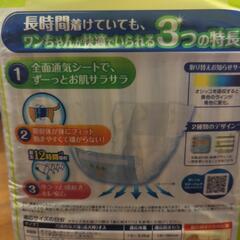 マナーウエア（最長12時間吸収）の画像
