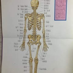 本の画像