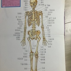 本の画像
