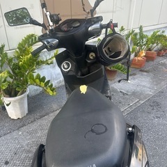 シグナス2型の画像