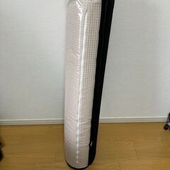 【ほぼ新品】エムール Latex 超弾力やわらか抱き枕の画像