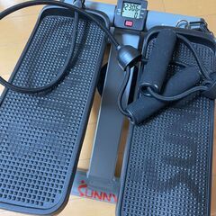 Sunny Health & Fitness ミニステッパー（美品・ほぼ未使用）の画像