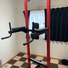 ファイティングロード　 懸垂マシン