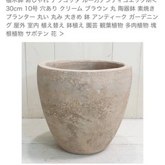 植木鉢10号ピンクベージュ　譲渡の画像
