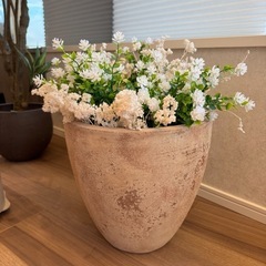 植木鉢10号ピンクベージュ　譲渡