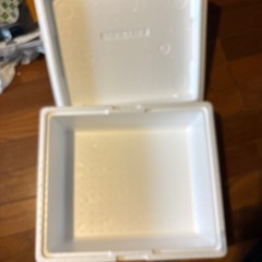 発泡スチロール　　オードブルなどを冷やすのにいかがでしょうか？　の画像