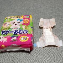 犬用マナーオムツ64枚入り✕4パック　(おまけ付き)の画像