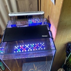 コトブキ水槽セットの画像