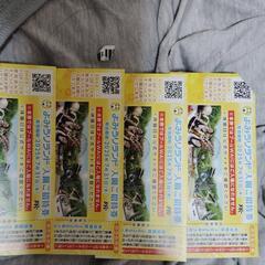 よみうりランドチケット4枚