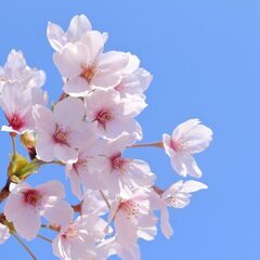 お友達を募集してます