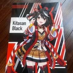 クリアファイルの画像